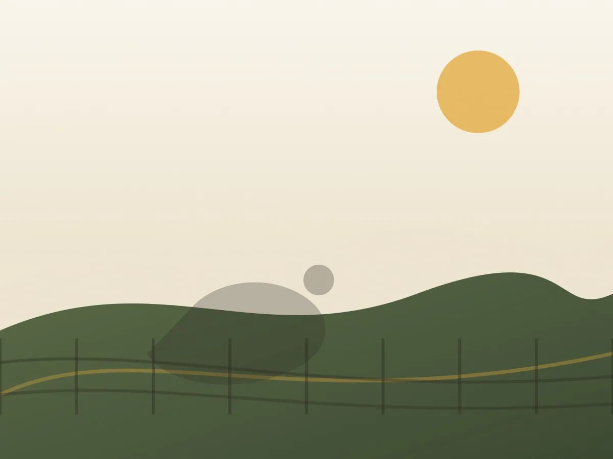 Pasture-raised chicken moving through a warm green field.